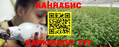 дмт Тара